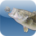 Total Fishing News